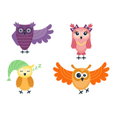 Fototapeta premium Cartoon owl vector isolated