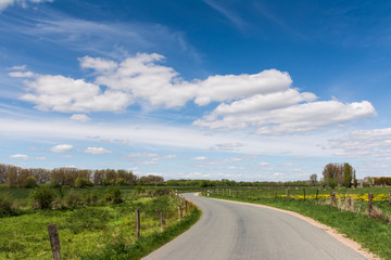 road through the fields