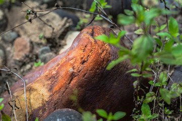 round rock in watershed