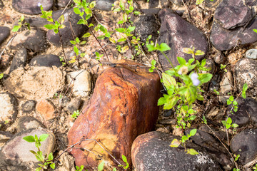 round rock in watershed