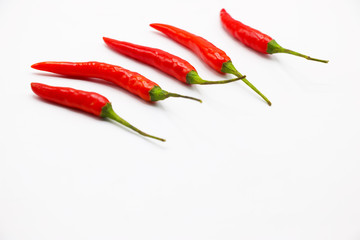 Red chilli on white background