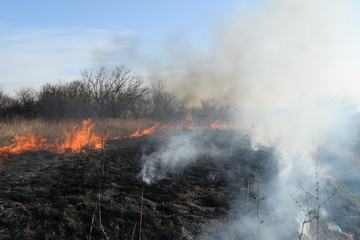 Burning dry grass and reeds. Cleaning the fields and ditches of the thickets of dry grass