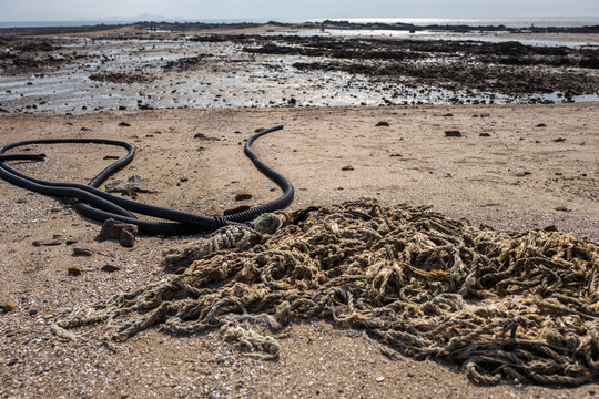 fishing net on the mud flat