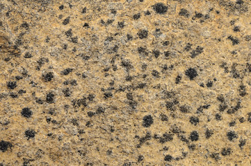 Rough brown stone texture