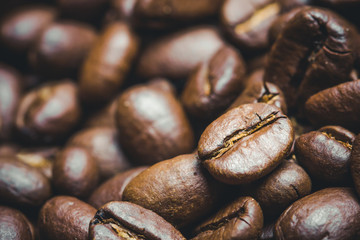 Artistic coffee seeds with shallow depth of field background.