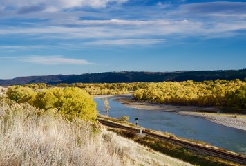 Cottonwoods Along the Yellowstone