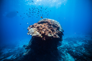 green island, Taiwan