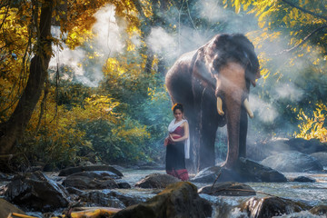 Beautiful Asian Woman wears thai dress with her elephant