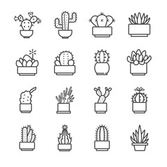 Cactus and succulent icons set - obrazy, fototapety, plakaty