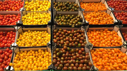 Tomatoes Grid