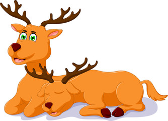 cute two deer cartoon sitting