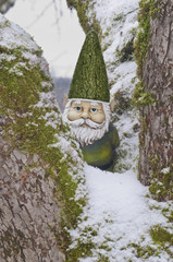 Gnome in tree with green hat and snow covered branches/Closeup of Gnome in tree with green hat and suit. Winter time with snow.