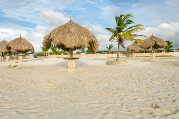 Rest area with Palm trees by the beach in Aruba