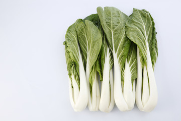 pak choy or sawi putih