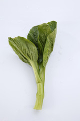 choi sum