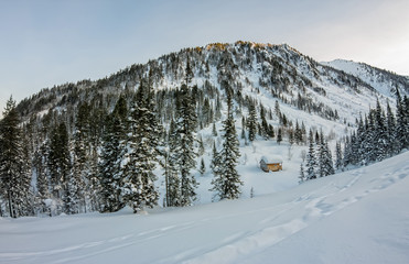 Cabin house chalets in winter forest with snow