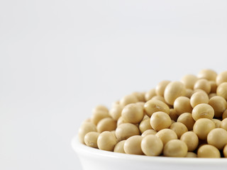 soy bean