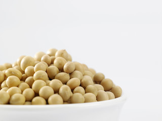 soy bean