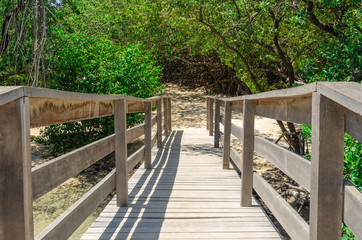 Fototapeta premium Amazing view of the Mangel Halto beach in Aruba