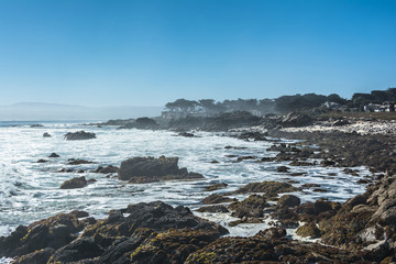 Fototapeta na wymiar Pacific Grove coast, Monterey, California