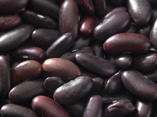 kidney beans