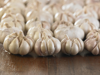garlic