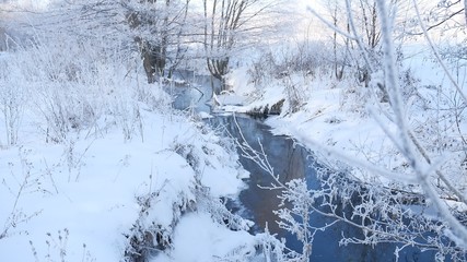 Fototapeta premium winter creek in the forest snow, frozen branches of trees landscape nature