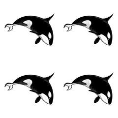 Grampus seamless pattern. Vector illustration