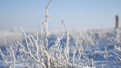 frozen grass next to the highway route travel winter movement of auto