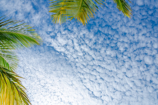 Sky view with white clouds from eagle Beach, Aruba © vbjunior