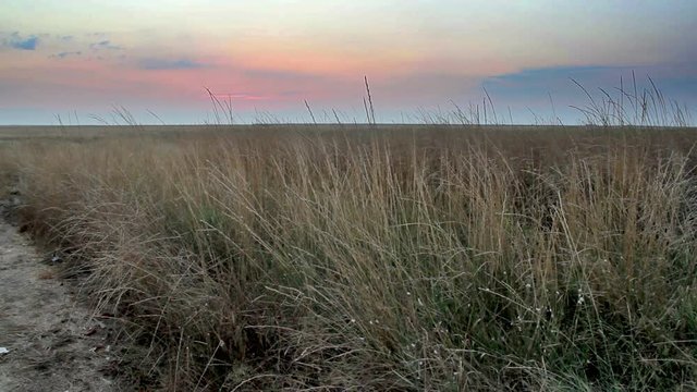 landscape of the Eastern Syvash, Ukraine