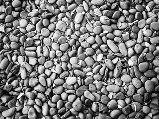 Stones in the garden. Black and white tone