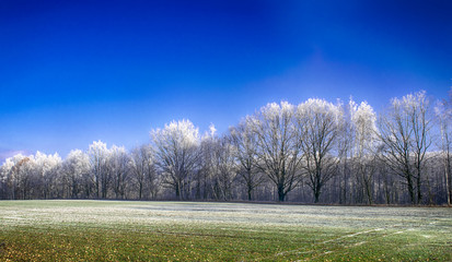 Zimowe Pola © grzechu1999