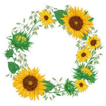 Wreath with sunflowers and oat. Rustic floral background. Vintage vector botanical illustration in watercolor style.
