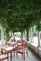 Summer cozy outdoor cafes and vineyards