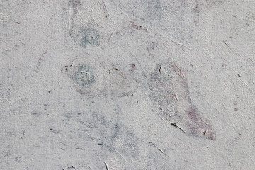 Acrylic on canvas. light grey background. Rough and express brushstrokes of paint.