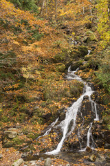 照葉峡の時雨の滝