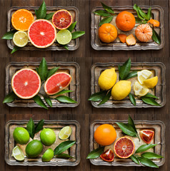 Fresh citrus fruits
