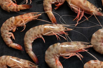 Shrimps