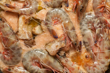 Shrimps