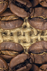 Coffee beans closeup on natural texture.