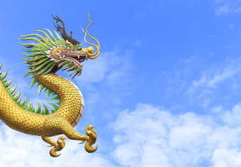 Fototapeta premium dragon on sky with soft-focus in the background. over light