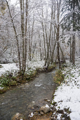晩秋のオヤウンナイ川の流れ