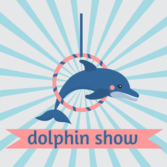 dolphin show, dolphinarium, sea lion, seal, aqua circus, ocian animal