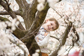 toddler boy in spring time near the blossom tree