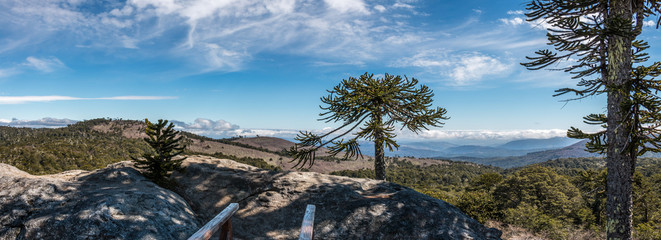 Stone of the Eagle in Nahuelbuta National Park, Chile.