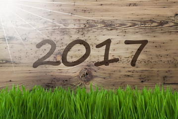 Sunny Wooden Background, Gras, Text 2017