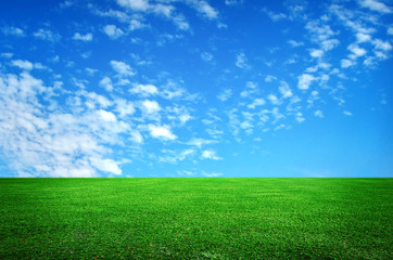 Fototapeta na wymiar meadow with blue sky
