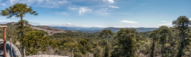Stone of the Eagle in Nahuelbuta National Park, Chile.