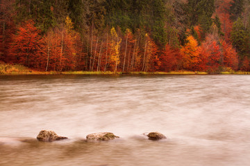 lake near a forest in great autumn